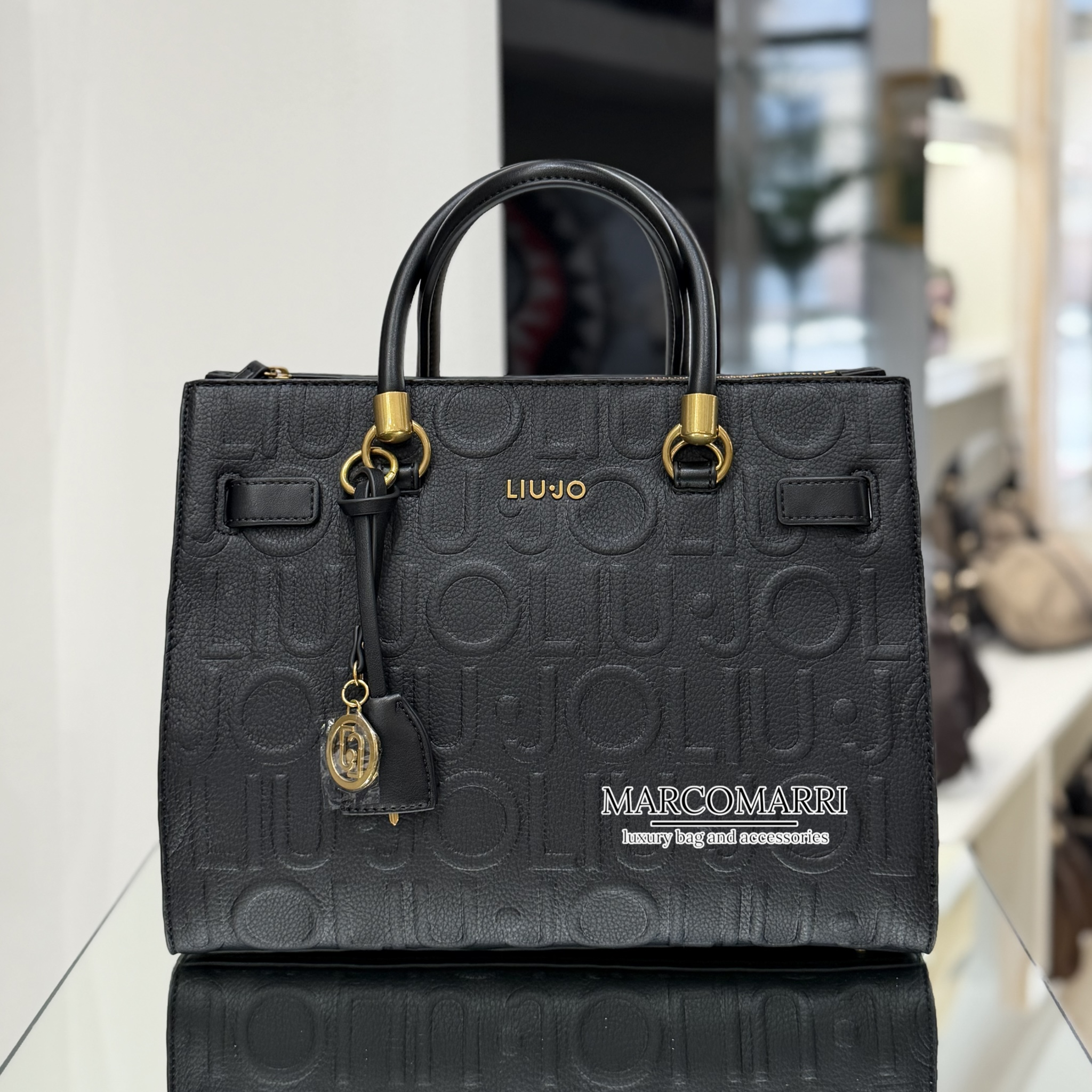 Liujo hand bag logo Marco Marri negozio di borse e accessori Ponte San Giovanni, Perugia (8)